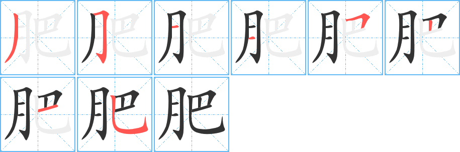 肥的筆順筆畫