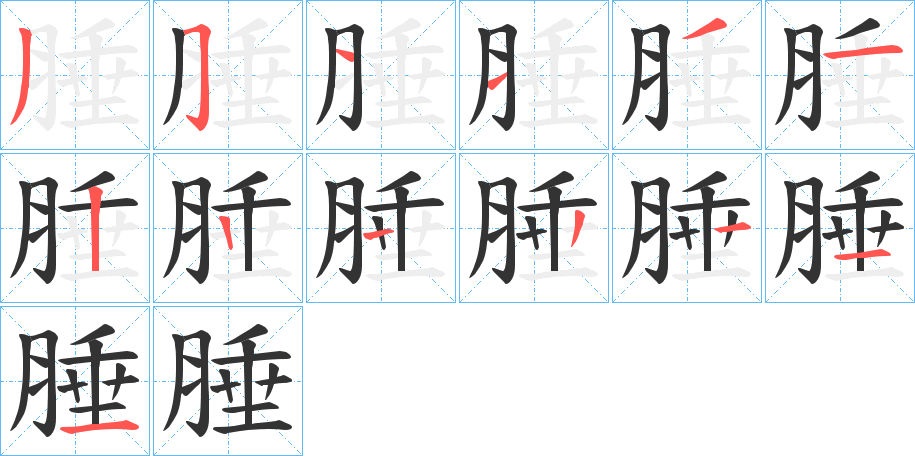 腄的筆順筆畫